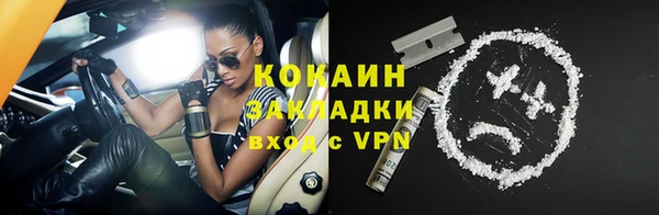 соль ск Верхний Тагил