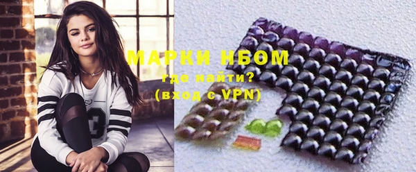 соль ск Верхний Тагил