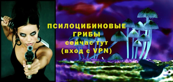 соль ск Верхний Тагил