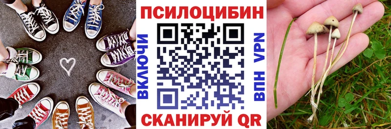 блэк спрут рабочий сайт  где купить наркоту  Грайворон  Псилоцибиновые грибы мицелий 